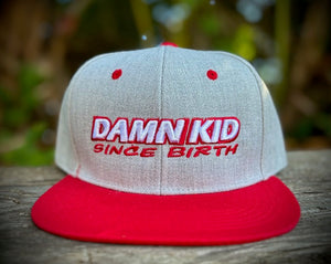 Since Birth Heather Grey w/Red Flat Bill Hat